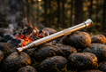 Braai Fire-Blowing Tube